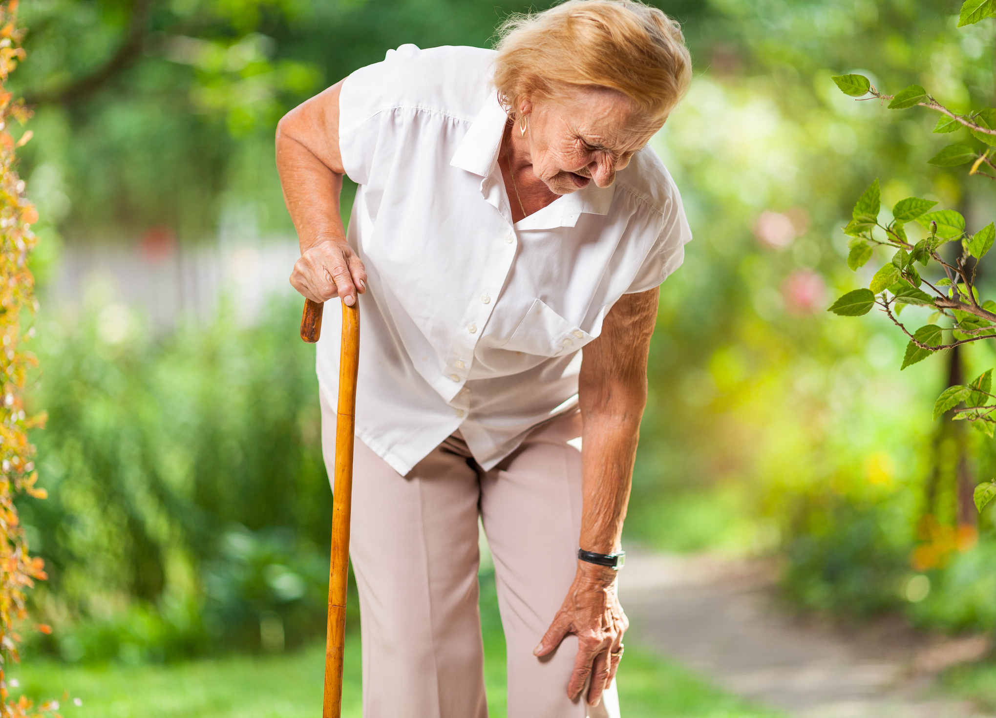 Fall risk in the elderly is increased when a senior has osteoarthritis.