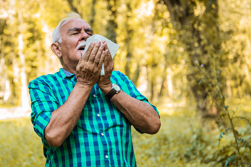 Senior man preparing to sneeze while standing in a park or forest